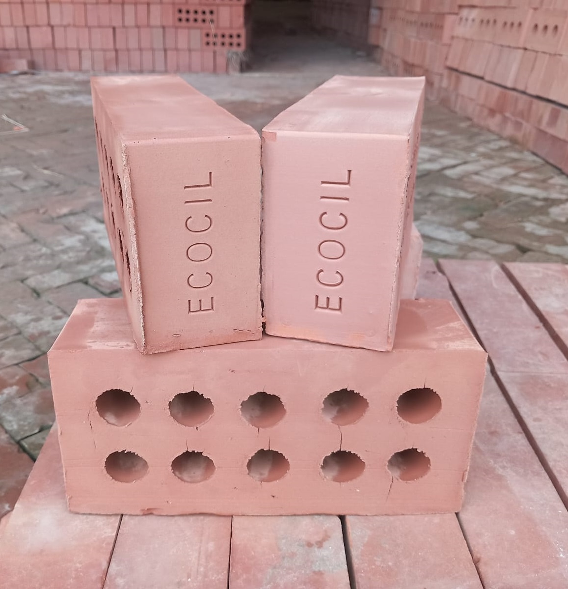 Ecocil 10 Hole Auto Brick from Munshiganj 2 Ecocil 10 Hole Auto Bricks